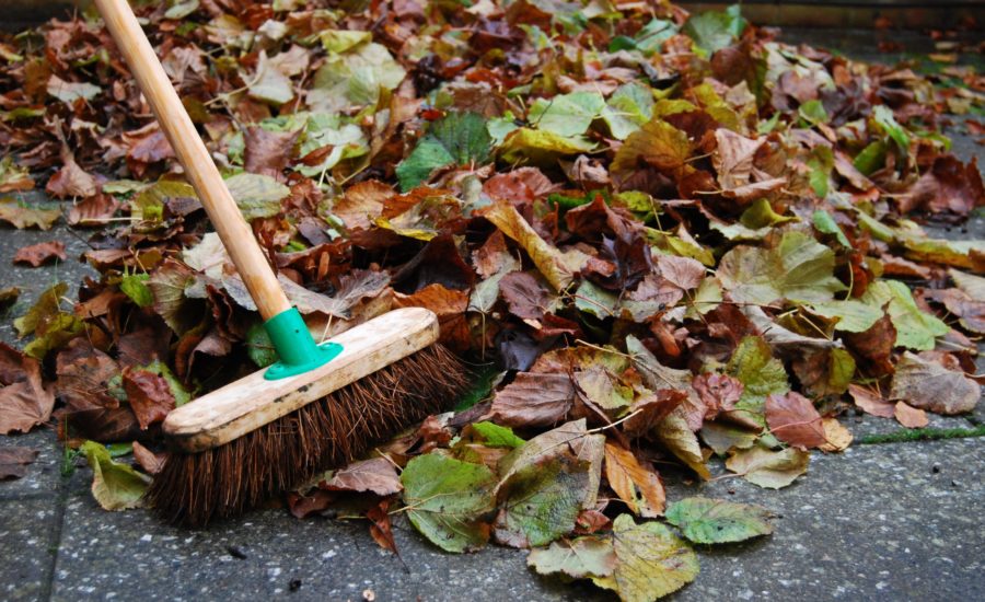 Besen Kehrt Feuchtes Herbstlaub Von Gehweg – Herbstputz Und Laubbeseitigung Durch Optima Gebäudeservice Nord Gmbh In Lübeck Und Hamburg