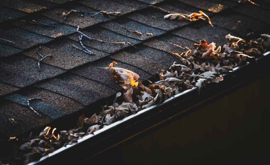 Laub Verstopft Dachrinne – Dachrinnenreinigung Im Herbst Durch Optima Gebäudeservice Nord Gmbh In Lübeck Und Hamburg