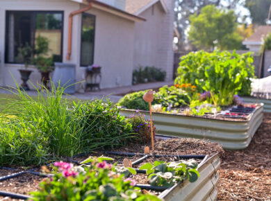 April 2026 Blogbeitrag Fruehlingsfit Garten