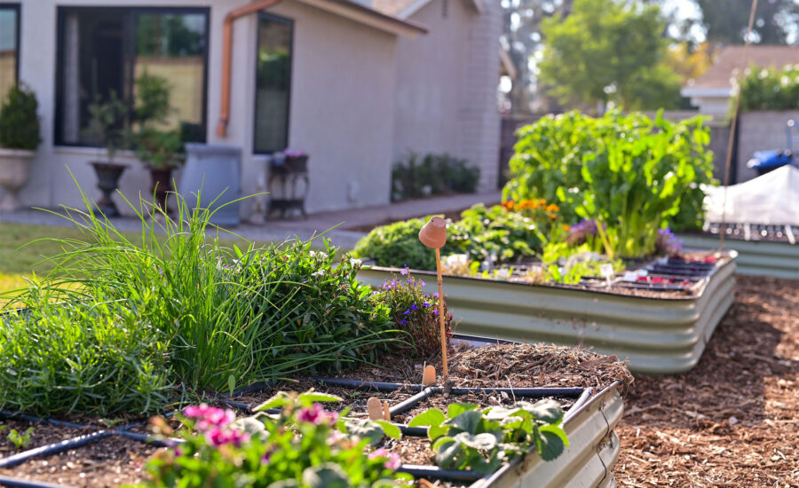 April 2026 Blogbeitrag Fruehlingsfit Garten